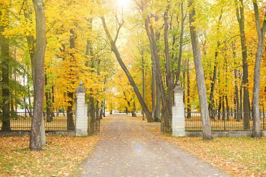 Pedestrian Road in the autumn park. Autumn Landscape. Autumn park named Kadriorg in Tallinn, Estonia.