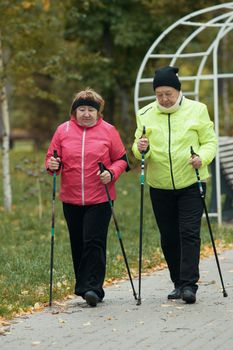 Old women in jackets walking on sidewalk in an autumn park during a scandinavian walk. Talking