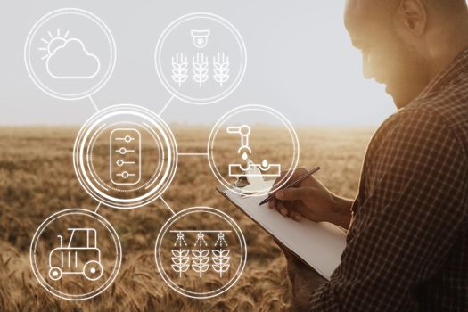 Young man using tablet in wheat field close up, agricultural concept