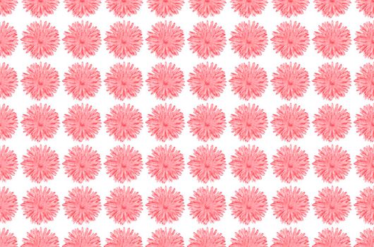 Pink Chamomile or gerbera isolated on white seamless pattern. Summer flowers