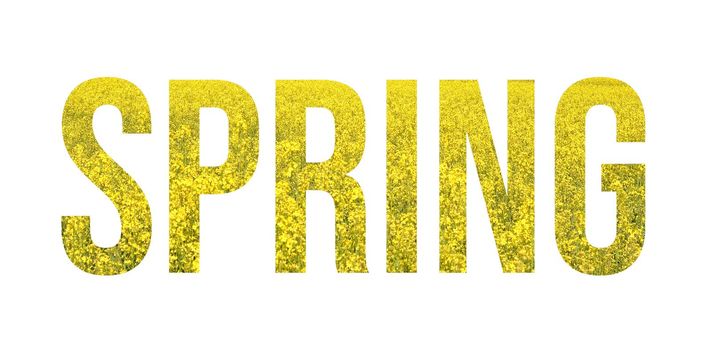 Yellow wild flowers font word SPRING banner isolated on white background. Spring overlay concept