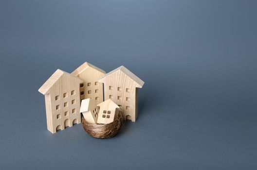Small houses in a birds nest are surrounded by large buildings. Residential buildings and houses in a bird's nest. Parenting metaphor. Buying a home for young families. Support in purchase of housing.