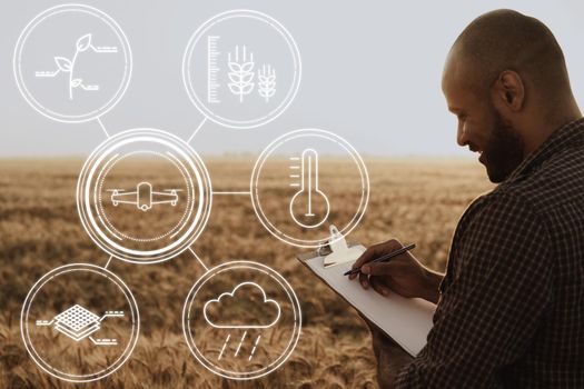 Man making notes on clipboard while standing in wheat field, close up