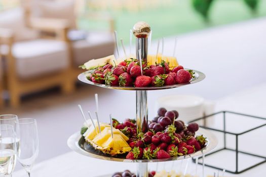 Different fruits and light snack on tray on wedding party