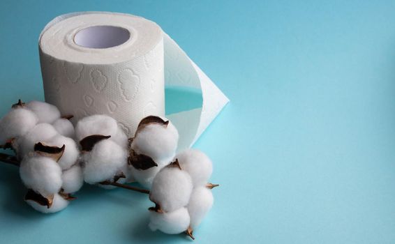 Toilet paper roll isolated on a blue background, with a branch of fluffy cotton flowers.