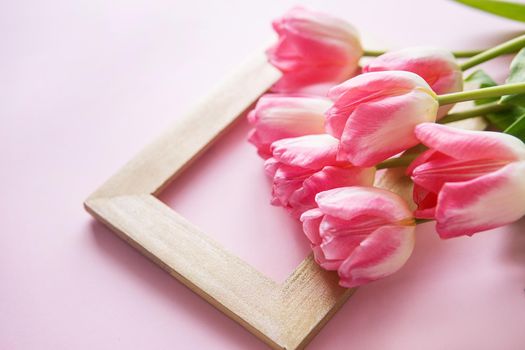Pink Tulip flowers are arranged on a pink background. Flowers on a close-up photo frame. Spring concept. Women's day. Mother's day.