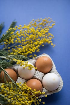 Easter background, eggs on a blue background, decorated with Mimosa flowers, flatlay, top view, happy Easter.