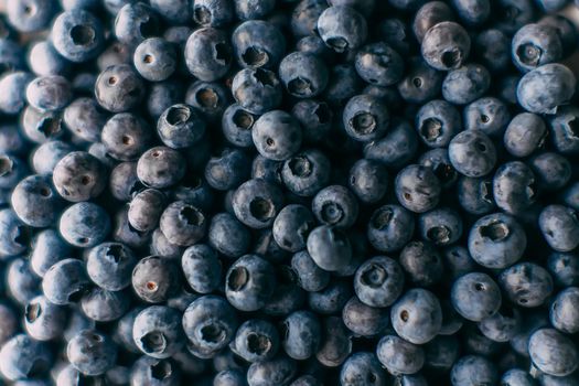A lot of blueberries picked in forest. Close up background texture with summer fruits with selective focus