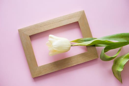 Yellow Tulip flowers are arranged on a pink background. The view from the top, flat lay. Empty space for the text. Spring concept. Women's day. Mother's day.