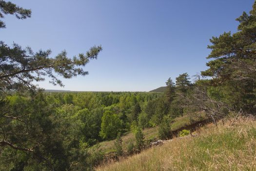 Beautiful view of the lake through the pine tree, horizontal