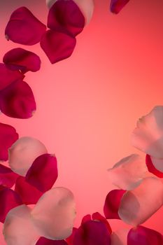 red and white rose petals background