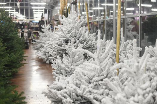 White christmas artificial trees for sale on a shop