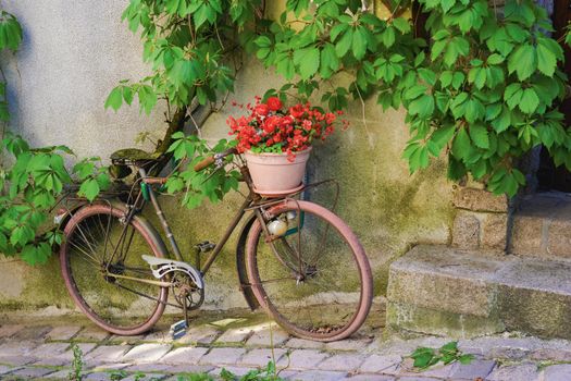 Old rusty bicycle with flowers in basket on old wall background