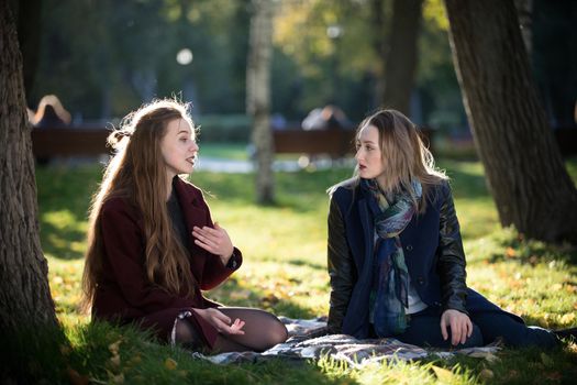 A beautiful long-haired girl tells a story to her friend. They sit on a plaid in the autumn park. Wide shot