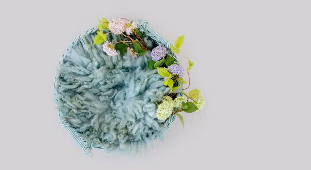 Wooden stylized white furniture basin with blue fur and flowers plants for newborn photoshoot. Designed decoration for infant studio photo isolated on grey background with copyspace