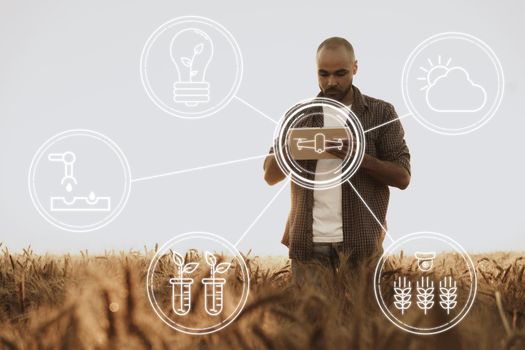 Farmer standing with digital tablet in a wheat field using modern technologies in agriculture, close up