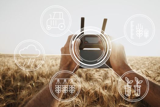 Man farmer standing in wheat field and controlling drone close up. Technologies in agriculture concept