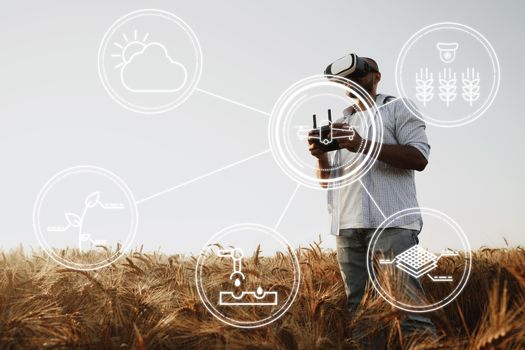 Man farmer standing in wheat field and controlling drone close up. Technologies in agriculture concept