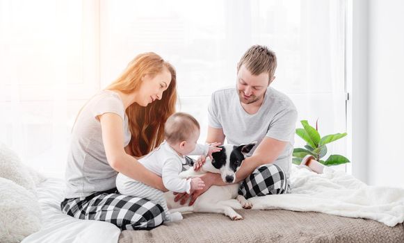 Family with baby boy sitting on the bed with cute dog. Mother and father holding their son on legs and kid petting doggy. Beautiful parenthood time. Pet with owners
