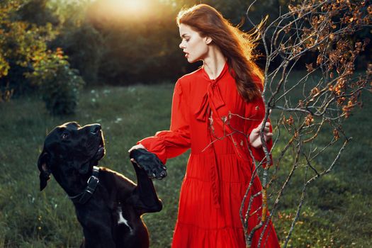 pretty woman in red dress with dog outdoors posing glamor. High quality photo