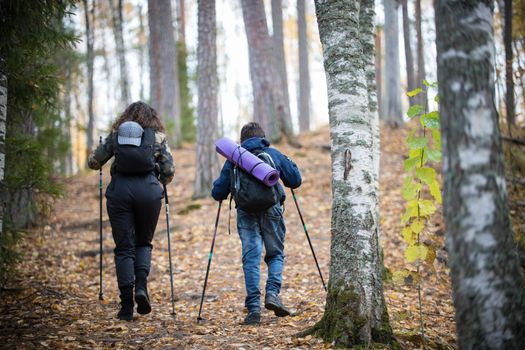 Nordic walking. Little boy and young woman in the forest. Back view. Birch forest