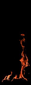 Flames of fire on a black background. The mystery of fire.