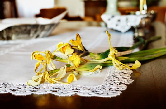 Yellow iris flowers on white doily , in the background home decor.