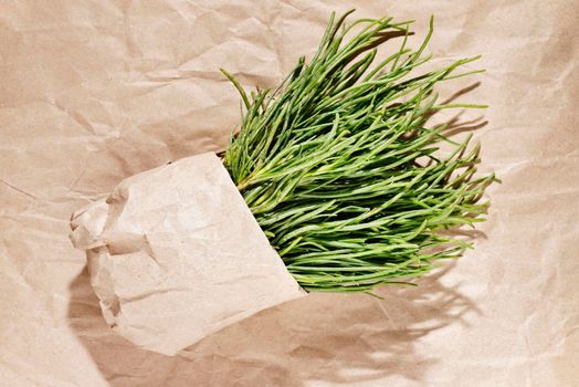 Bunch og agretti -salsola soda or opposite -leaved saltwort -in bag ,fresh uncooked green leaves
