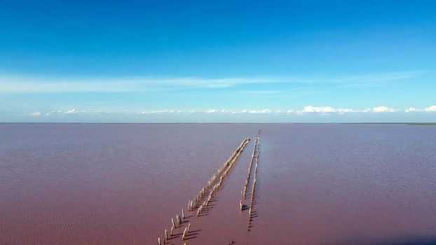 The pink lake - stock photo. View from the drone