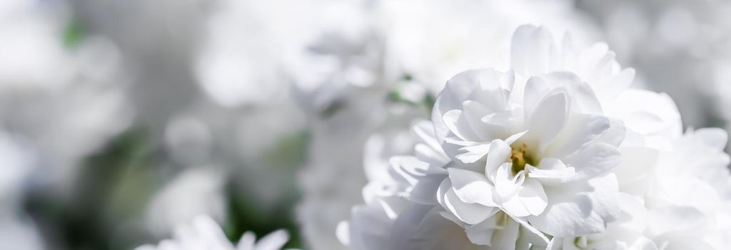 White terry jasmine flowers in the garden. Floral background