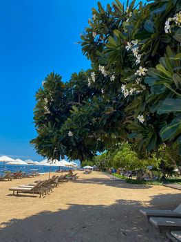 Stunning beautiful beach with relaxing scenery on a beach. Famous travel destination in Sanur, Bali, Indonesia. - stock photo. High quality photo