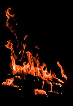 Flames of fire on a black background. The mystery of fire.