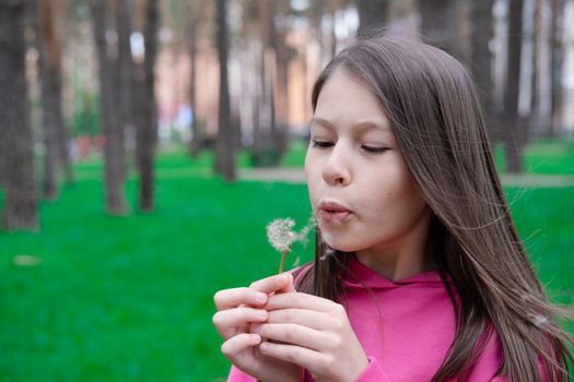 cute little girl play blow on a dandelion in park. Happy kid having fun outdoors. vacation or holidays