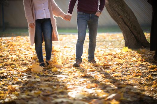 A cute young couple walking in autumn park holding hands. Front view