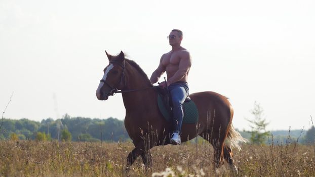 Muscular bald man without shirt riding horse in the field