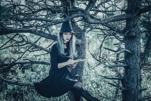 Gothic beautiful young witch with magic book sitting on old tree in autumn forest, looking at camera. Halloween theme