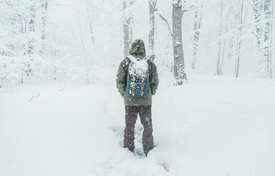 Unrecognizable traveler young man with backpack walking in snowy forest in winter, rear view