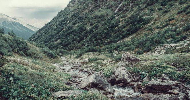 Mountain creek among green grass and stones in summer valley