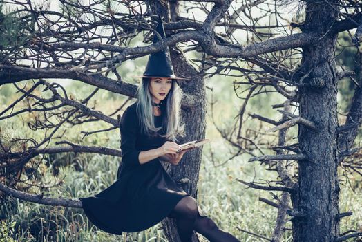 Gothic young witch with magic book sitting on old tree in autumn forest, looking at camera. Halloween theme