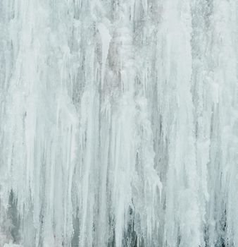Winter nature background. Wall of big icicles