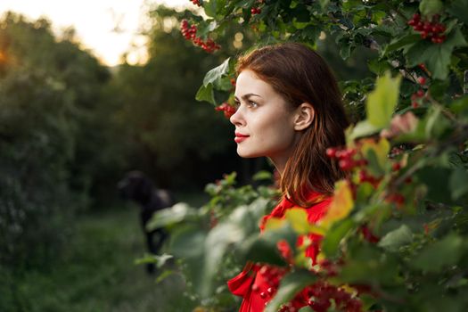 Woman red dress green leaves nature summer. High quality photo