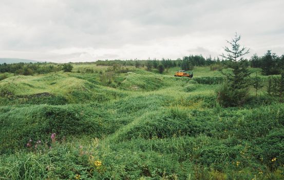 Small locomotive moving among summer landscape