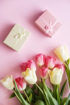 Pink and yellow Tulip flowers, gift boxes are arranged on a pink background. The view from the top. The concept of spring. Women's day. Mother's day.
