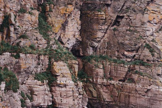 Cliff wall and green shrubs outdoor, nature background.