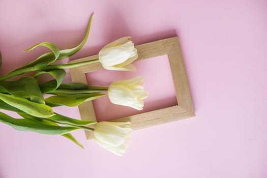 Yellow Tulip flowers are arranged on a pink background. The view from the top, flat lay. Empty space for the text. Spring concept. Women's day. Mother's day.