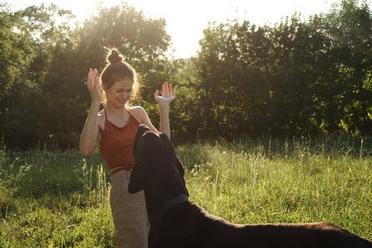 cheerful woman playing with a dog in a field in nature in summer. High quality photo