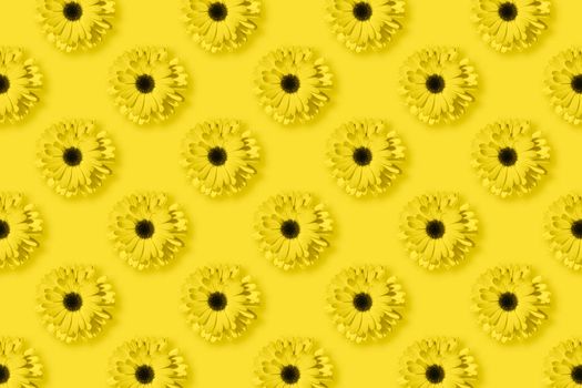 Daisies, chamomile or gerbera flower pattern on Illuminating yellow background. Pop art design, creative unique concept. Floral pattern toned in yellow. Flowers pattern in minimal style.