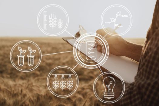 Man making notes on clipboard while standing in wheat field, close up