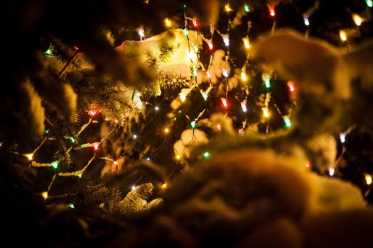 Part of christmas fir-tree under the snow outdoors with lights