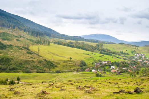 Environmental protection, tree stumps on the foreground and village